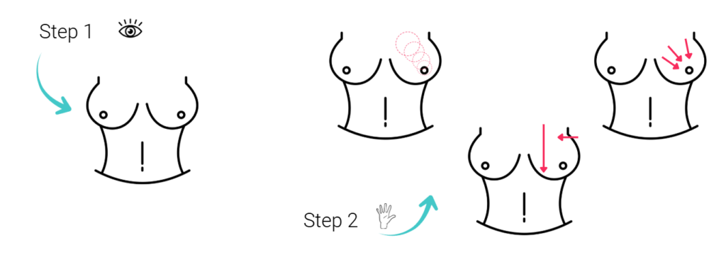 breast examination 1