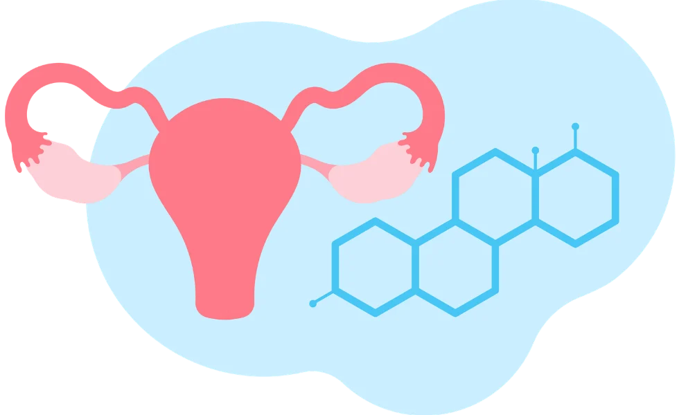 An infographic featuring a schematic representation of the female reproductive organs (uterus, fallopian tubes, ovaries) alongside a chemical structural formula symbolizing a sex hormone.