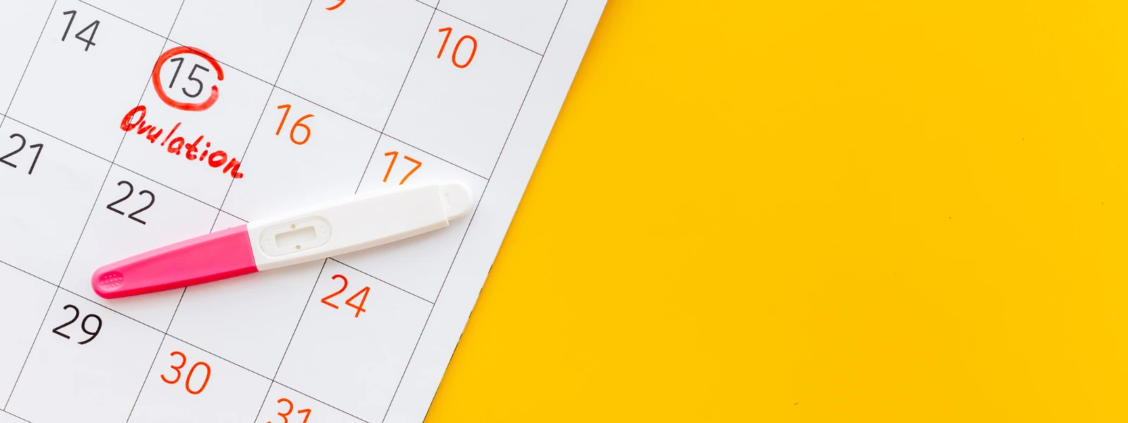 An ovulation test lies on a paper calendar, with the 15th day circled in red and marked with the handwritten word “Ovulation.” The scene is arranged at an angle against a bright yellow background.