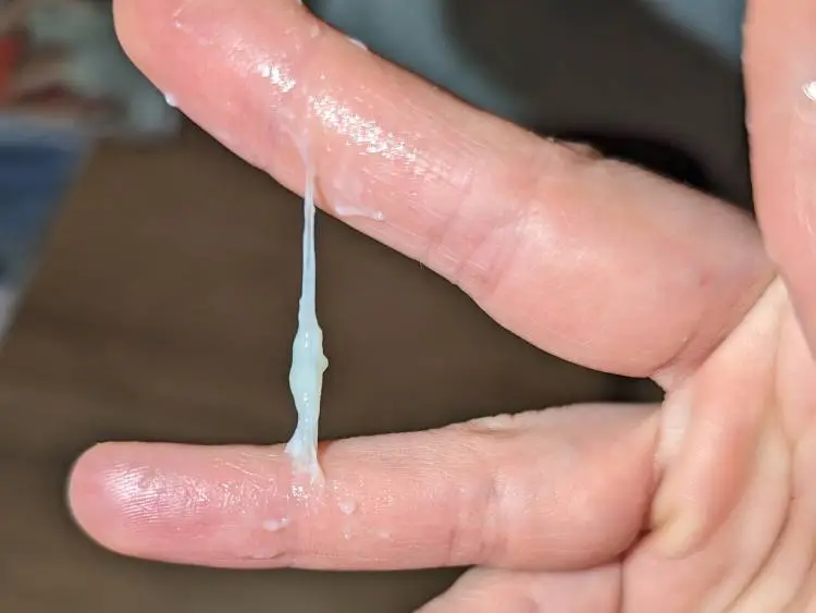 Whitish, stretchy S+ cervical mucus on cycle day 17