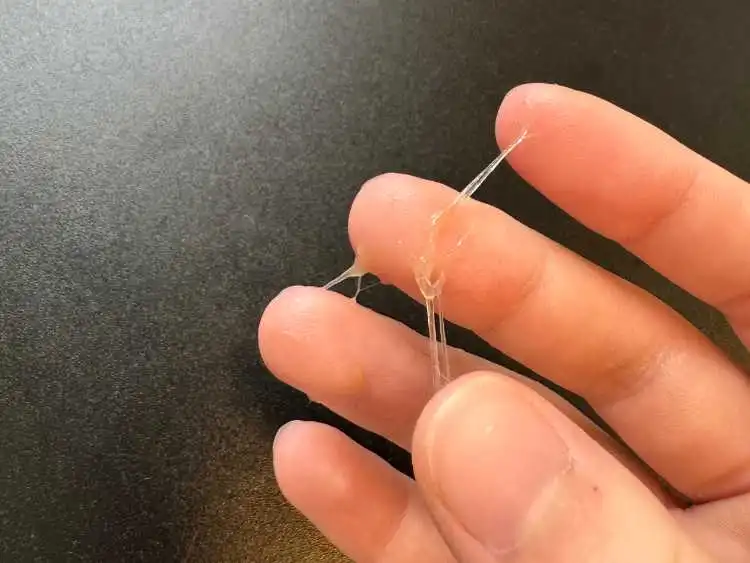 Clear, stretchy cervical mucus on cycle day 22